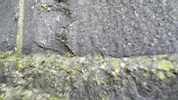 acastle
                          105365.jpg